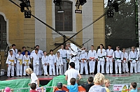 ukazky 2012__22.JPG